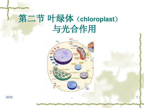 细胞生物学ppt课件