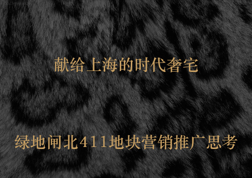 2014绿地闸北411地块营销推广思考