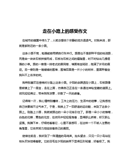 走在小路上的感受作文