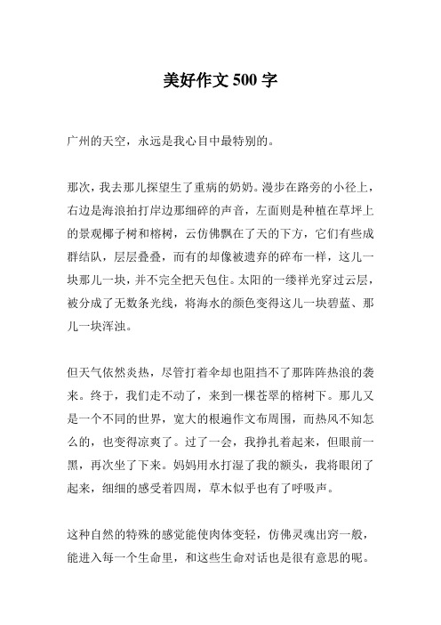 美好作文500字