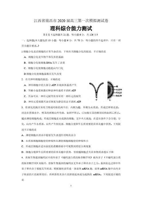 江西省南昌市2020届高三第一次模拟测试理综生物试题 含答案