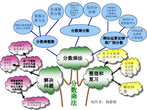 六年级数学分数乘法和位置知识树