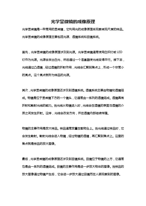 光学显微镜的成像原理