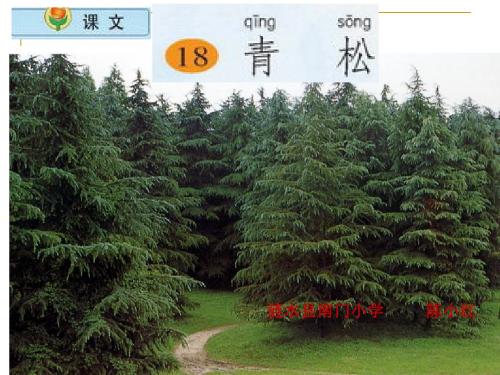 2016年秋季学期新苏教版二年级语文上册《青松》第二课时