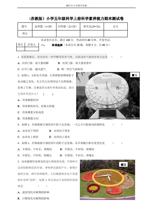 苏教版科学五年级上册 期末素养测试卷