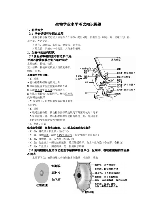 初中生物水平考试复习提纲