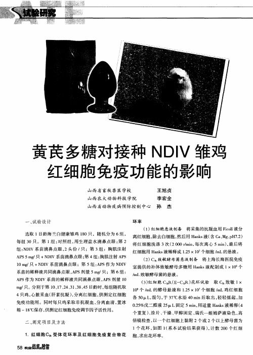 黄芪多糖对接种NDIV雏鸡红细胞免疫功能的影响