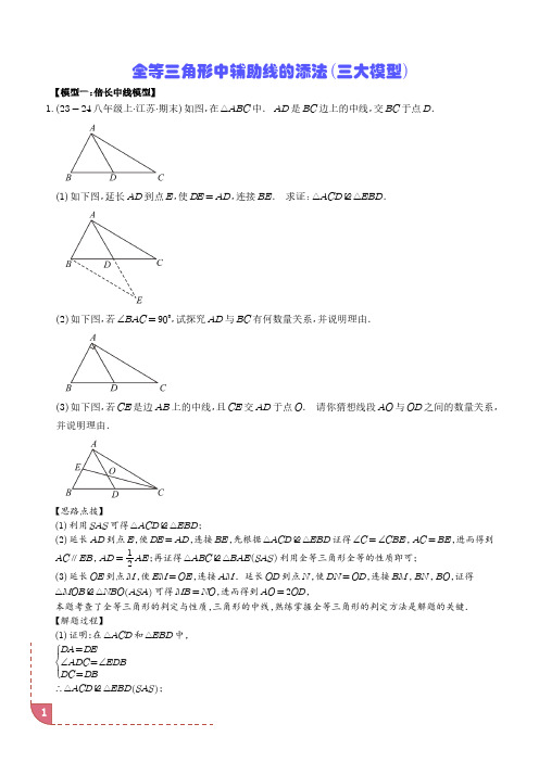 全等三角形中辅助线的添法(三大模型)(压轴题专项)(解析版)