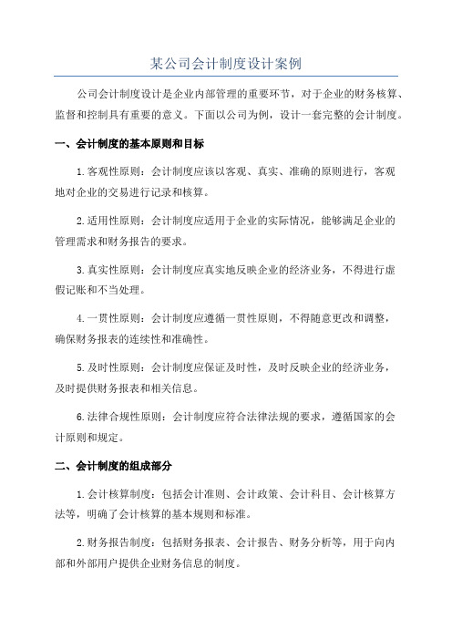 某公司会计制度设计案例