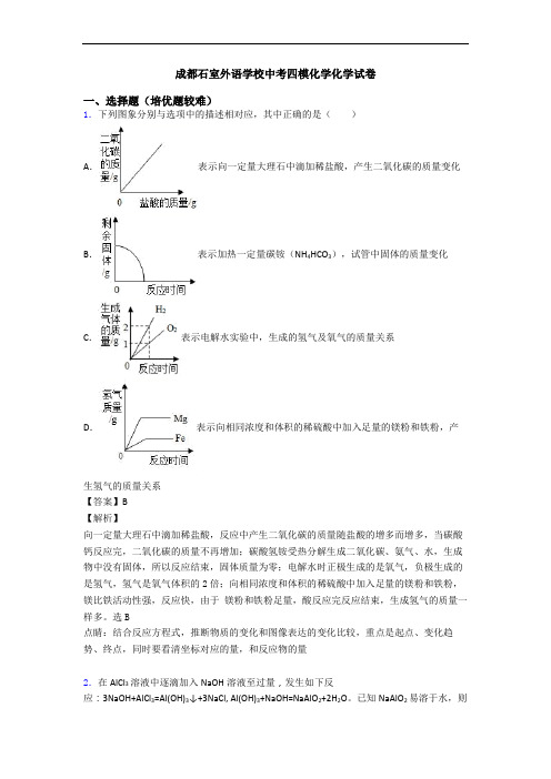 成都石室外语学校中考四模化学化学试卷