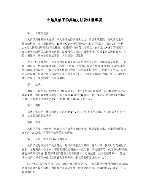 土培风信子的养殖方法及注意事项