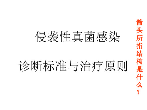 真菌感染诊断标准与治疗指南