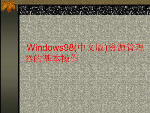 Windows98(中文版)资源管理器的基本操作