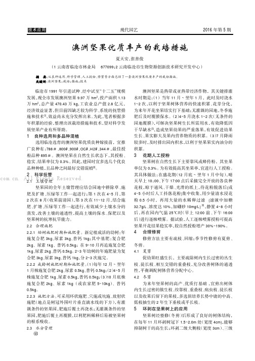 澳洲坚果优质丰产的栽培措施