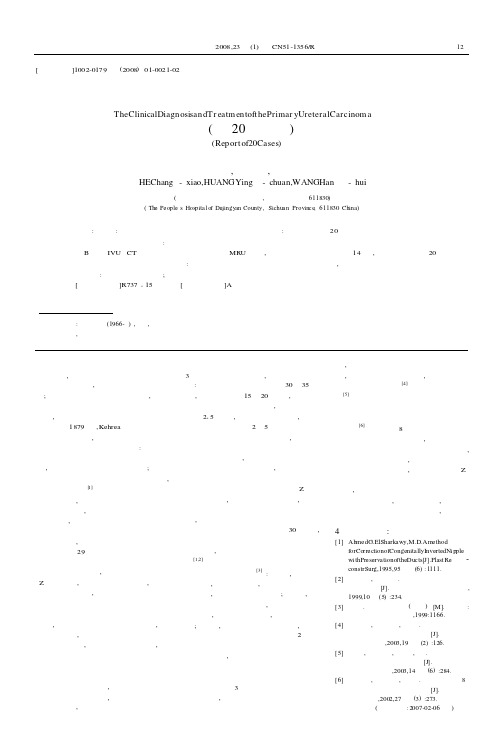 原发性输尿管癌的诊断与治疗附20例报告