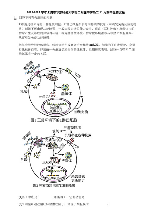 2023-2024学年上海市华东师范大学第二附属中学高二11月期中生物试题