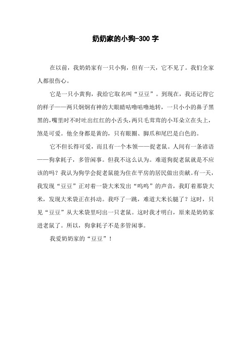 《奶奶家的小狗》六年级叙事作文