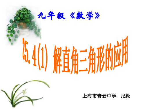 解直角三角形的应用