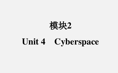 高考英语 一轮复习 Unit4 Cyberspace 北师大