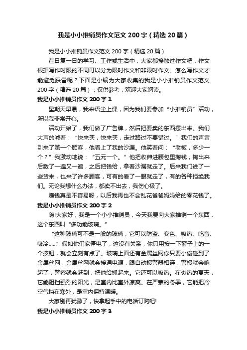 我是小小推销员作文范文200字（精选20篇）