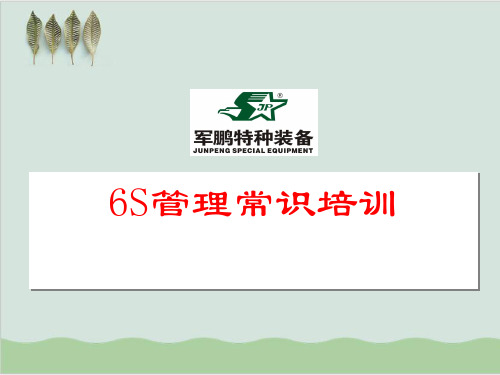 6S管理常识培训PPT课件( 49页)