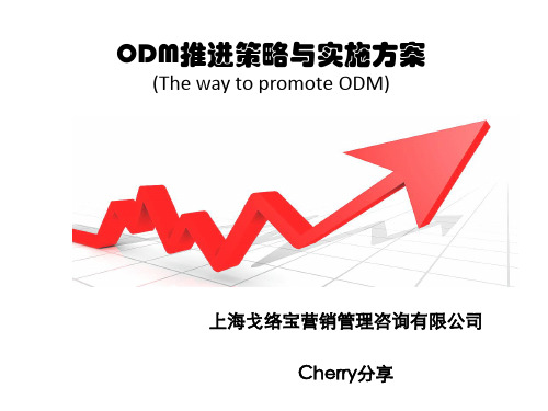 ODM推进策略与实施方案.pptx