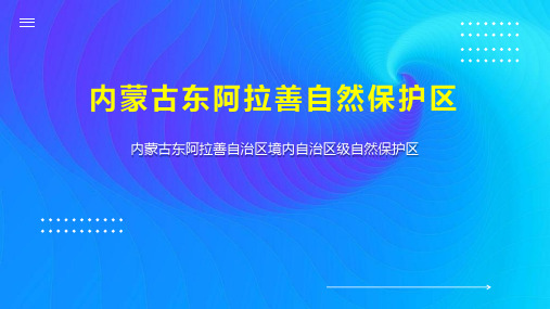 内蒙古东阿拉善自然保护区