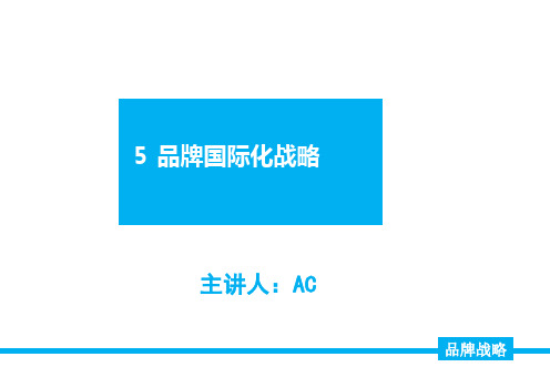 品牌国际化战略-国际营销品牌战略