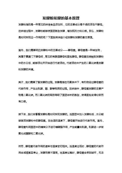 发酵粉发酵的基本原理