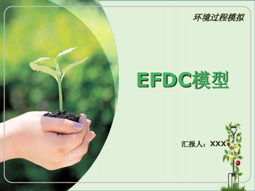 EFDC模型分析