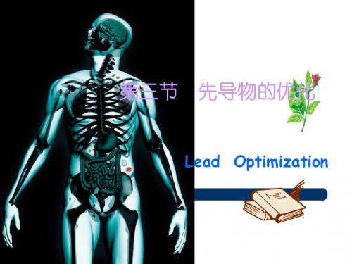 药物化学PPT课件第四章 新药研究概论(二)-文档资料