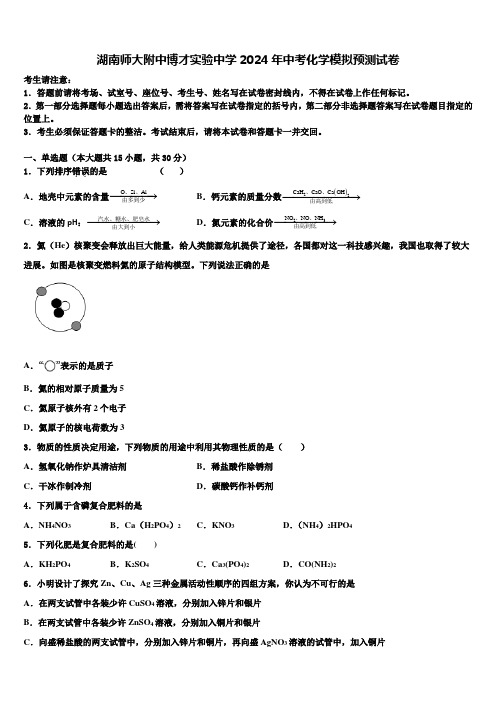 湖南师大附中博才实验中学2024年中考化学模拟预测试卷含解析