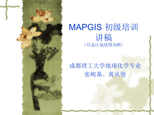 MAPGIS操作2