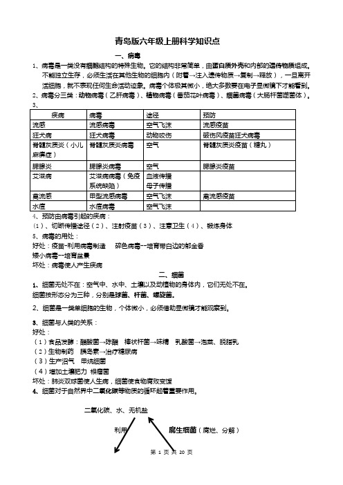 最全青岛版六年级上册科学知识点总结