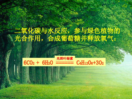 鲁教版五四制八年级化学上册第六单元第三节《二氧化碳的实验室制取与性质》第二课时课件