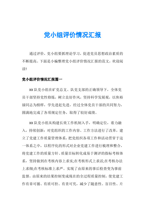 党小组评价情况汇报