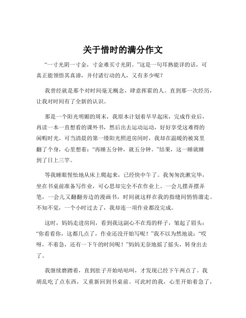 关于惜时的满分作文