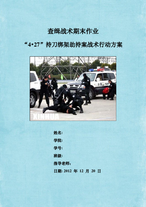 查缉战术方案
