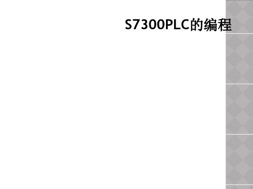 S7300PLC的编程