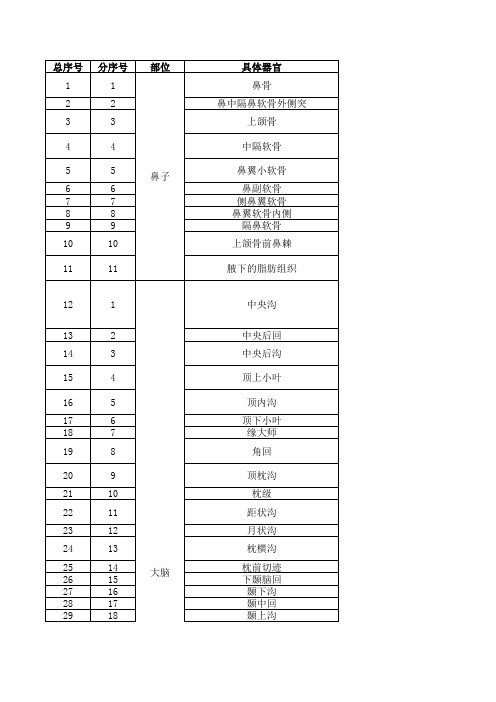 五官各部位介绍