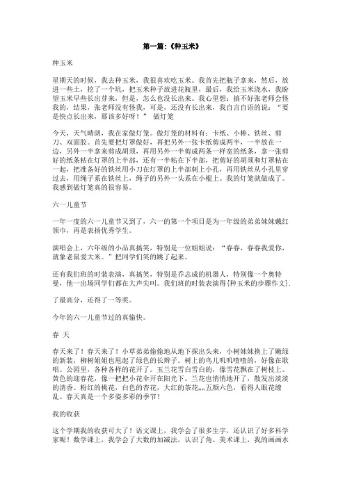 种玉米的步骤作文