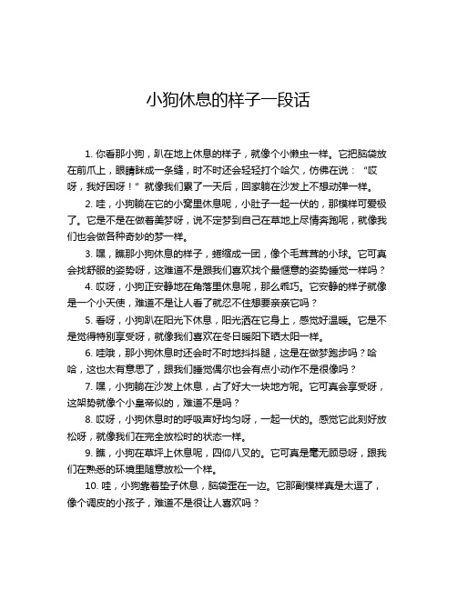 小狗休息的样子一段话