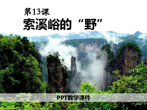 索溪峪的“野”PPT精品课件