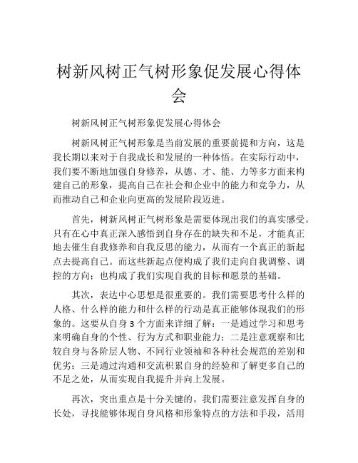 树新风树正气树形象促发展心得体会