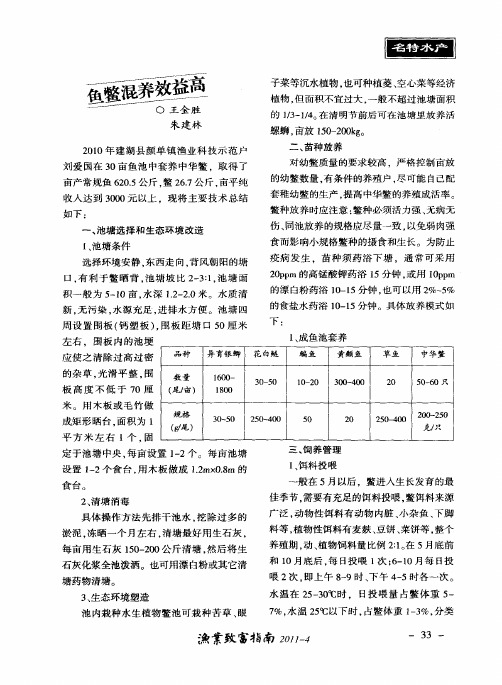 鱼鳖混养效益高