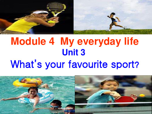 外研社七上SM4U3 what's your favourite sport