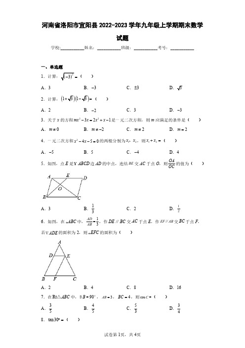 河南省洛阳市宜阳县2022-2023学年九年级上学期期末数学试题(含答案解析)