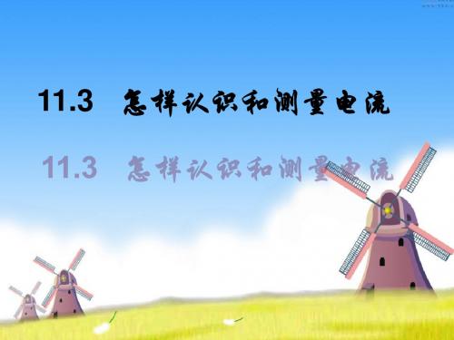 九年级物理：11.3怎样认识和测量电流