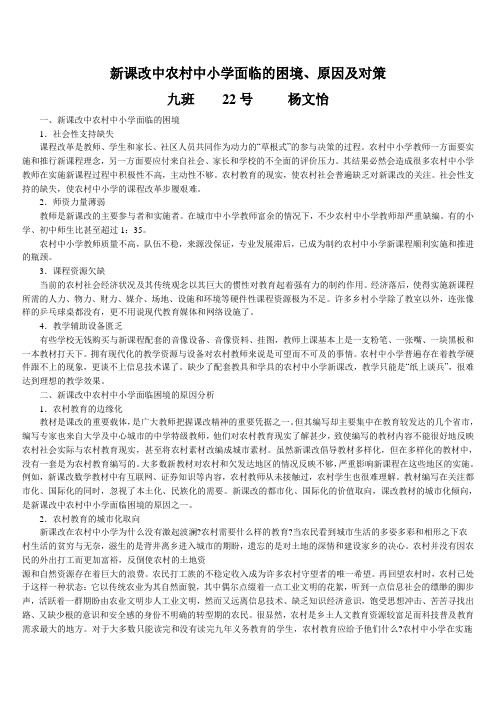 新课改中农村中小学面临的困境