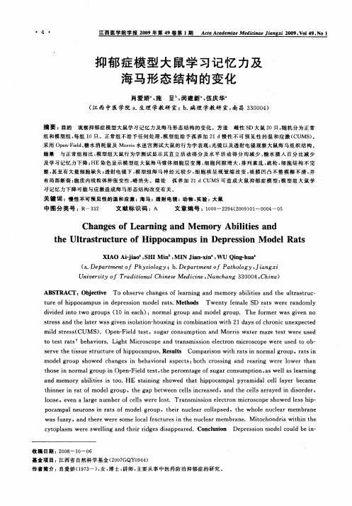 抑郁症模型大鼠学习记忆力及海马形态结构的变化